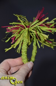 Jouet de patte pour perroquet : comment recycler les balles de vigne ou d'osier usagées ?