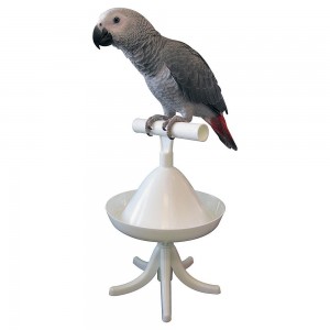 Accessoire : les perchoirs de table pour perroquet (type,choix, avantages et inconvénients)