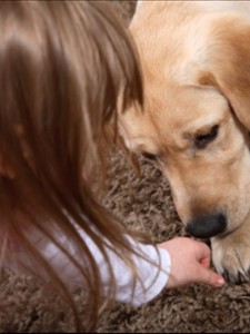 animaux-possession-enfants-détention-influence-impact-travail-oiseaux-perroquets-rongeurs-chats-chiens-nac-perroquets-animal-compagnie-animogen-2