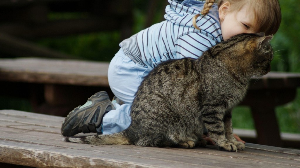 L'influence de la présence d'animaux sur le travail et l'intelligence des enfants