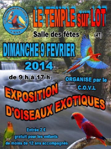 Exposition d’Oiseaux Exotiques à Temple sur Lot (47), le dimanche 09 février 2014