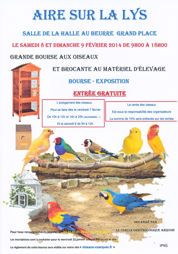 Grande bourse aux oiseaux à Aire sur la Lys (62), du samedi 08 au dimanche 09 février 2014