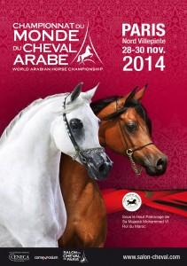 Salon du Cheval à Paris (93), du samedi 29 novembre au dimanche 07 décembre 2014