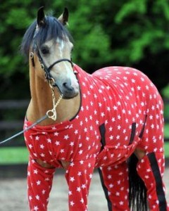 Accessoire : l'Onesie, un Pyjama pour chevaux ambiance cocooning