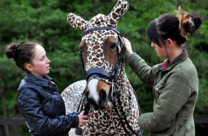 Accessoire : l'Onesie, un Pyjama pour chevaux ambiance cocooning