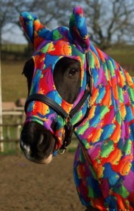 Accessoire : l'Onesie, un Pyjama pour chevaux ambiance cocooning