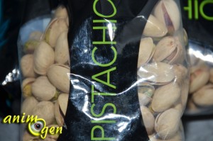 Alimentation : des pistaches sans sel pour nos perroquets, avec " Wonderful Pistachios "