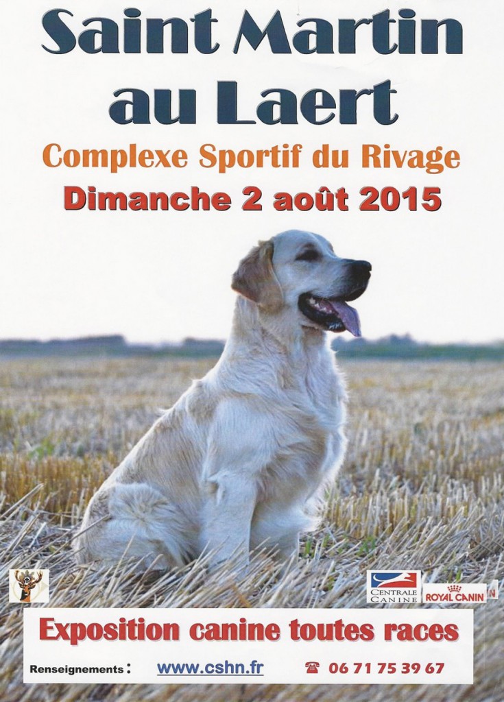 Exposition canine toutes races à Saint Martin au Laert (62), le dimanche 02 août 2015