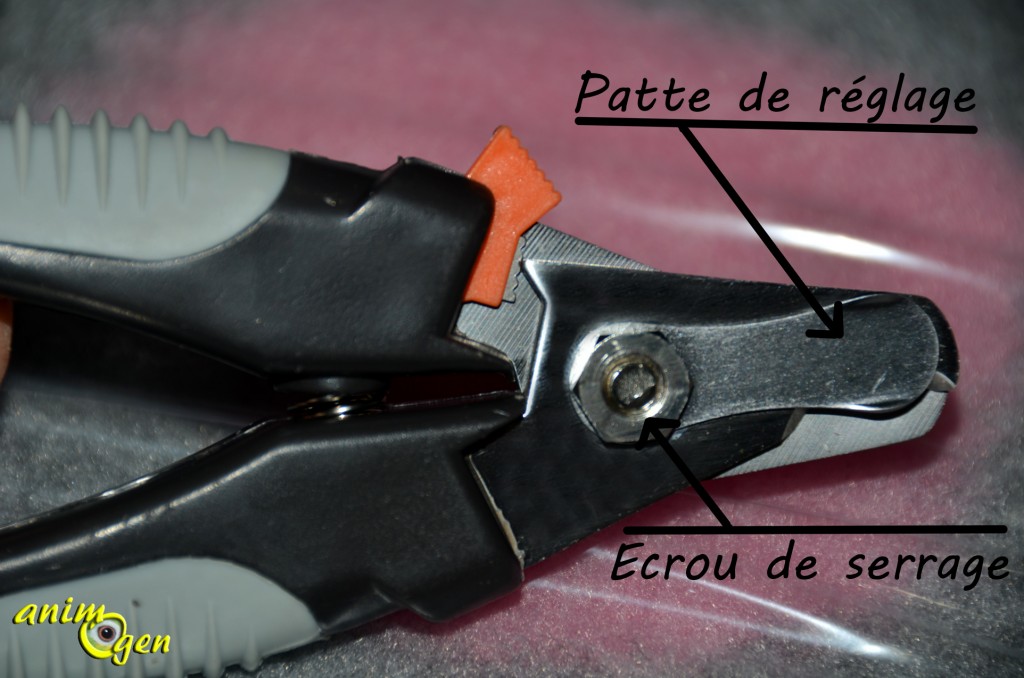 Accessoire : coupe-ongles pour chien Trixie (test, avis, prix)